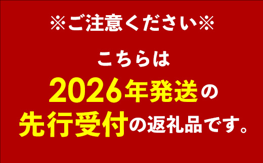 【先行受付】【2026年発送】屋宜原農園が丹精込めた「キーツマンゴー」約1kg - 先行予約 沖縄 産地直送 南国フルーツ 旬の味覚 沖縄県産 国産マンゴー 希少種 オススメ 沖縄県 八重瀬町