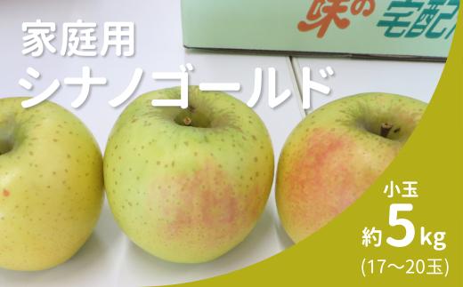 KR40-25A りんご 家庭用 シナノゴールド 約5㎏ 小玉（17～20玉） / 10月下旬頃～配送予定 // 長野県 南信州 リンゴ 林檎 黄色りんご 訳あり 自家用 農家直送 農家支援 産地直送