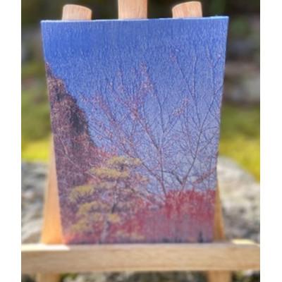 ふるさと納税 与謝野町 御城印帳(犬山城 紅葉) |  | 01