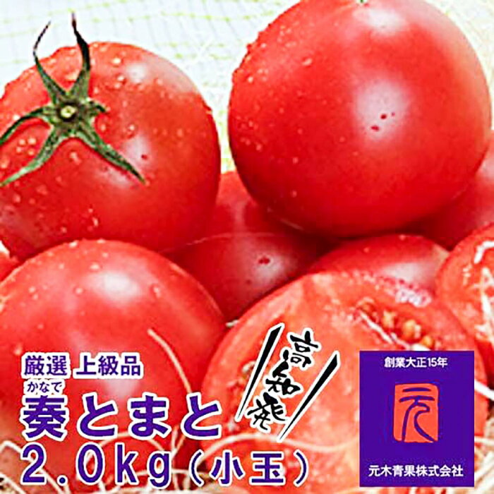 【ふるさと納税】【先行予約】フルーツトマト「奏（かなで）とまと」（小玉）約2kg化粧箱入 土佐郷 ＜2025年7月下旬頃〜発送＞ 【グレイジア株式会社】[ATAC321]