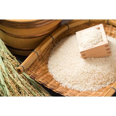 ふるさと納税 大網白里市 【令和6年産】【特A評価】千葉県産「コシヒカリ」精米 10kg(5kg×2袋) |  | 01