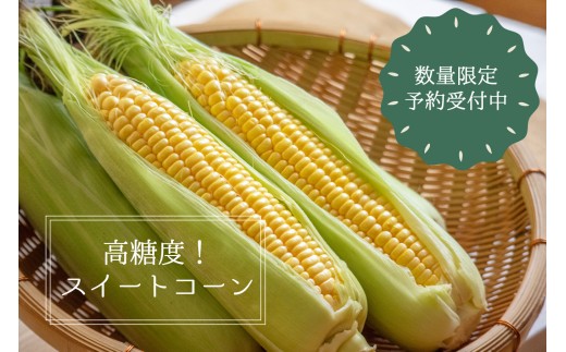 219 先行予約！辰野町産スイートコーン 数量限定