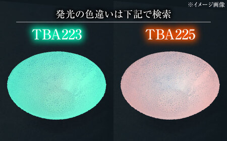 ルミナスシリーズ ボウル (大) ブルー 【暗闇に輝く、卓上の新たな魔法】 多治見市 / 丸モ高木陶器 ガラス 深皿 食器 化粧箱入り[TBA224]