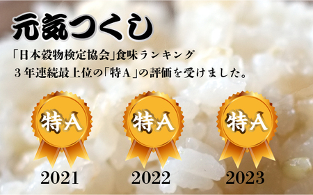 【全3回定期便】福岡県産【特A米】元気つくし【A米】夢つくしの食べ比べ 各5kg×2袋 [10kg] [玄米]《築上町》【株式会社ビーキューブ】[ABDF130] お米おすすめ お米定番 お米人気 お