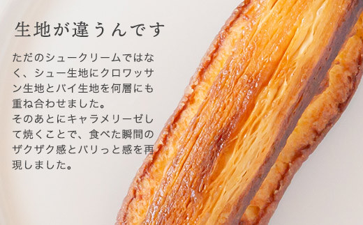 プレーン：【12本セット】新食感!?シュークリーム シュッシュ 5種食べ比べ シューアイス お試し 抹茶ミルクいちごチョコキャラメルナッツコーティング お中元 スイーツギフト お取り寄せ 冷たい 夏 