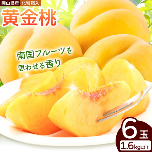 【2026年先行予約】桃 岡山県産 黄金桃 6玉 1.6kg以上 株式会社山博《2026年8月下旬-9月中旬頃出荷》もも フルーツ 化粧箱入り 岡山県 笠岡市 送料無料【配送不可地域あり】