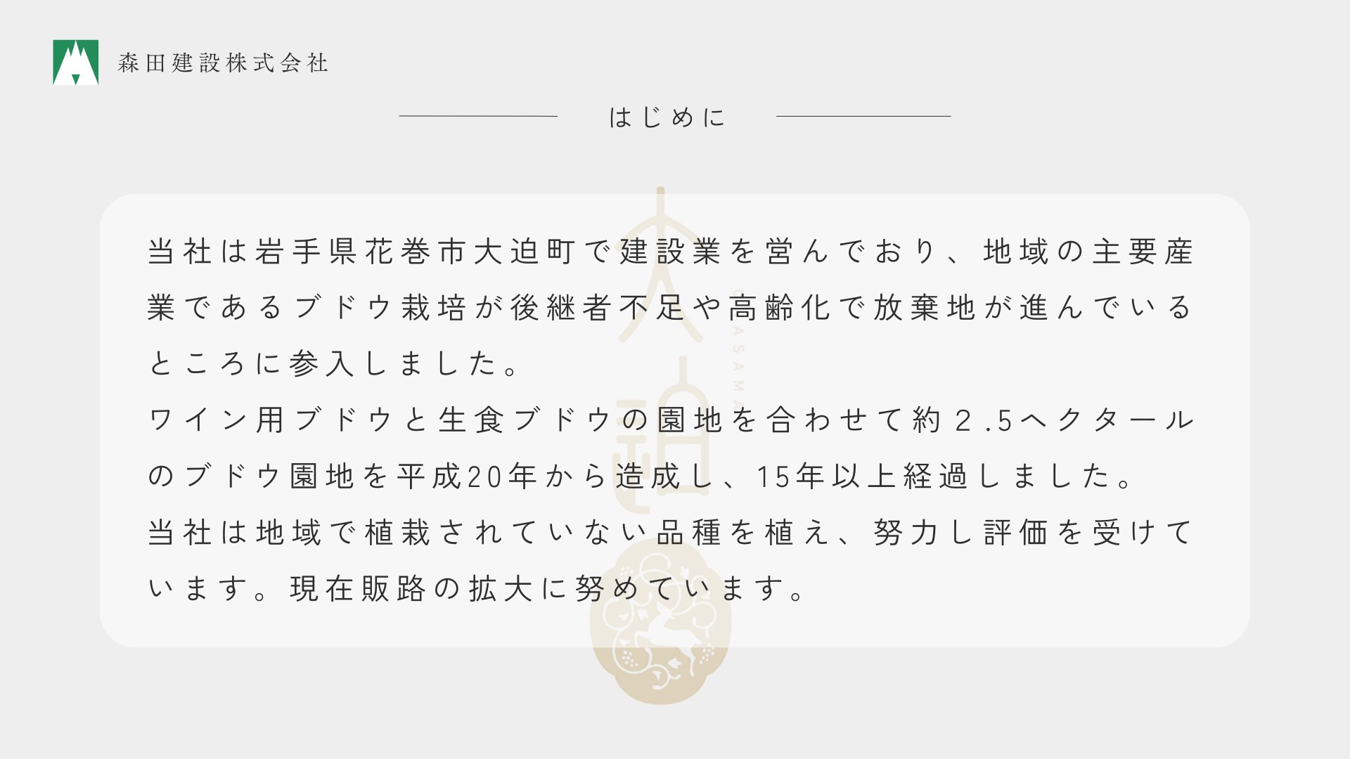 「早池峰の恵み」モリタワイン カベルネ・ソーヴィニヨン2021 ダム貯蔵ワイン ミディアムボディ 辛口　750ml×1本 【2110】