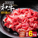 【ふるさと納税】【6回定期便】長崎県産 和牛 切り落とし1kg / 牛肉 すき焼き しゃぶしゃぶ すき焼き肉 赤身 定期便 肉定期便 / 南島原市 / 高田牧場 [SDB006]