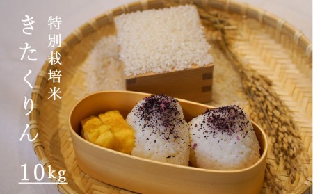 令和7年産 特別栽培米きたくりん 10kg 北海道当麻町 舟山農産 減農薬 低農薬【AB-025】
