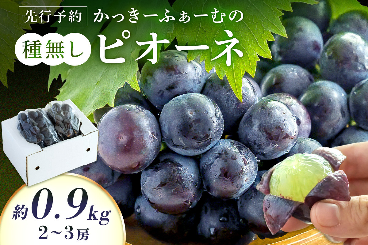 
            【先行予約】種無しピオーネ 約0.9kg 2～3房《8月下旬頃から発送》 果物 ピオーネ ぶどう 先行予約 【183_1879】
          