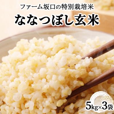 ふるさと納税 岩見沢市 令和7年産 ファーム坂口の特別栽培米 ななつぼし玄米 15kg