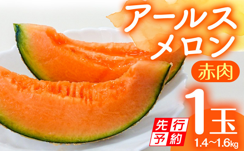 
                  【先行予約】期間限定 数量限定 宮崎産 アールスメロン <赤肉> 1玉 (1.4～1.6kg)_M126-028_01
                