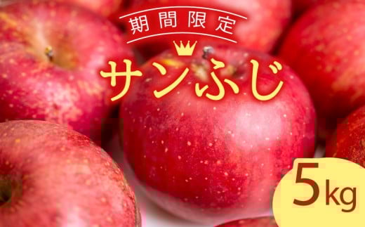 サンふじ 5kg（ 川崎町産 ）りんご apple リンゴ 林檎 果物 フルーツ デザート スイーツ 果樹園 国産 新鮮くだもの フルーツ  産地直送 ご家庭 贈答 人気 ギフト 旬 数量限定 福岡県 川崎町