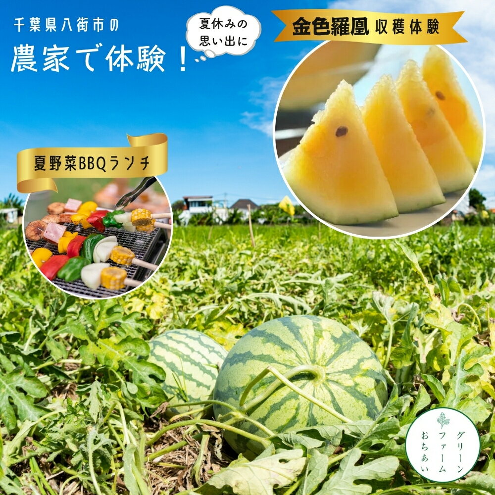 【ふるさと納税】スイカ収穫体験 & 夏野菜BBQ ランチ付き 千葉県八街市 1日限定5組 1家族4名までOK 金色スイカ「 金色羅皇 」収穫体験　農家で過ごす特別な夏休み ちばエコ野菜認証ファーム グリーンファーム落合