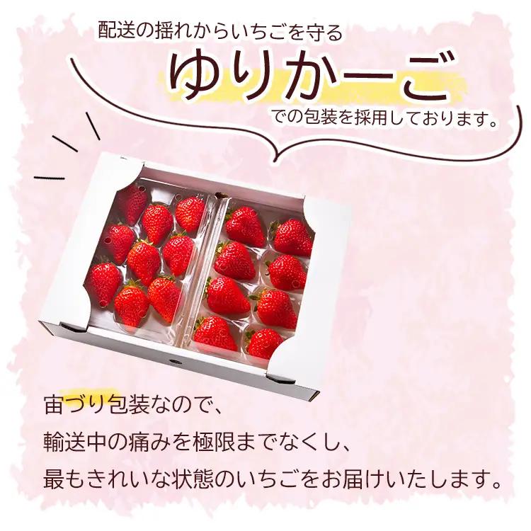 【先行予約／2027年出荷】暖家のいちご　ギフト用完熟あまおう（８粒～９粒）×2パック 3Z1-S