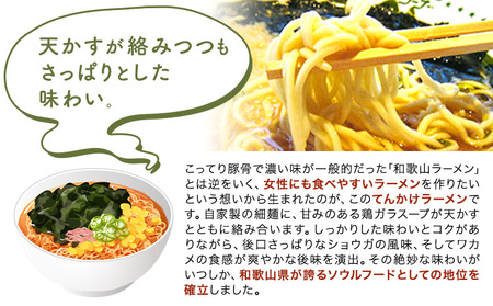 ラーメン てんかけラーメン 12食 玉林園