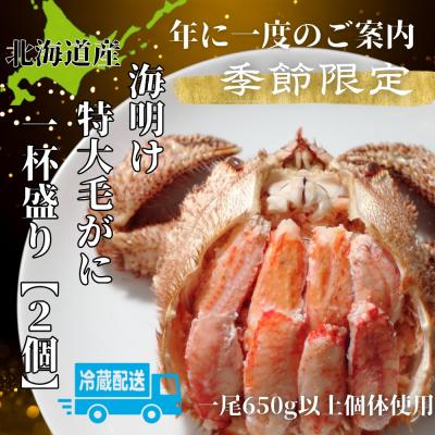 ふるさと納税 紋別市 【北海道産】特大海明け毛がに一杯盛り約650g以上の毛がに2尾使用【5月18日まで】(冷蔵便)
