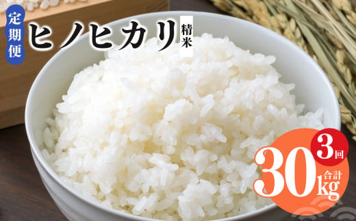 【 定期便 3回 】令和6年産 ヒノヒカリ 精米 5kg  奈良県産（ 計30kg ） | 米 こめ コメ お米 おこめ  令和6年産 令和6年 ひのひかり 奈良県 平群町 ライス 新米