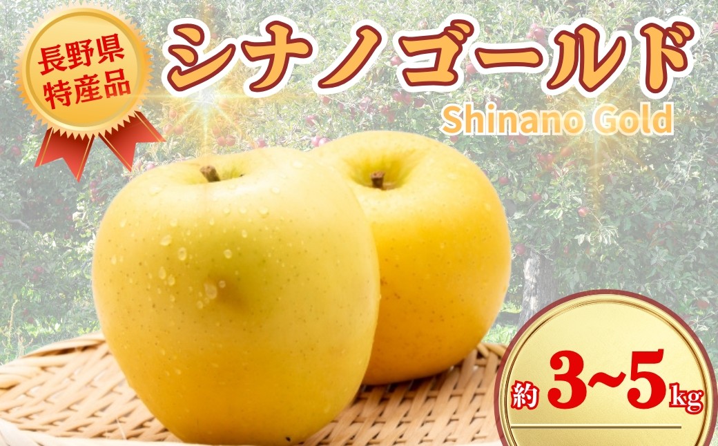 
                  【2026年先行予約】シナノゴールド 約3kg / 約5kg｜ 果物 フルーツ リンゴ 林檎 シナノゴールド 千曲市 長野県 信州
                