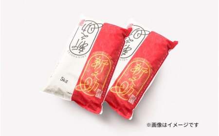 【令和6年産新米】〈6回定期便〉新之助 精米 10kg（5kg×2袋）［2024年10月上旬以降順次発送］ 有限会社ファームみなみの郷