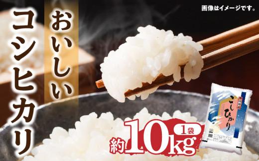 おいしいコシヒカリ約10kg 372013_T006-106J