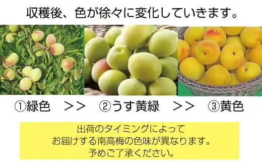 【梅干・梅酒用】（4Lまたは3L－2Kg）熟南高梅 秀優混合 / フルーツ 果物 くだもの 食品 人気 おすすめ 送料無料 ※2027年6月上旬～7月上旬頃順次発送予定 ※沖縄・離島への配送不可 【a