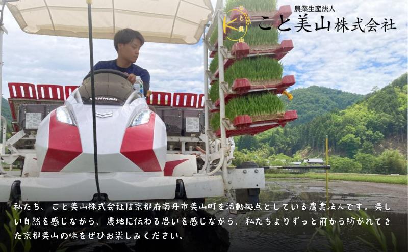 【予約受付】定期便12回 令和8年産 新米 にじのきらめき 10kg 美山町産 こと美山米
