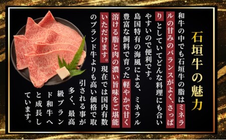 【2025年11月以降順次発送】希少な特選石垣牛をご家庭で！！ヒレ＆サーロインステーキ、特選サーロインしゃぶしゃぶ用の贅沢の極セット合計700g | 沖縄 石垣 特選 牛 肉 ヒレ サーロイン ステー