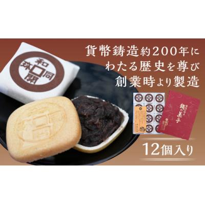 ふるさと納税 山口市 銭の菓子(もなか) E114