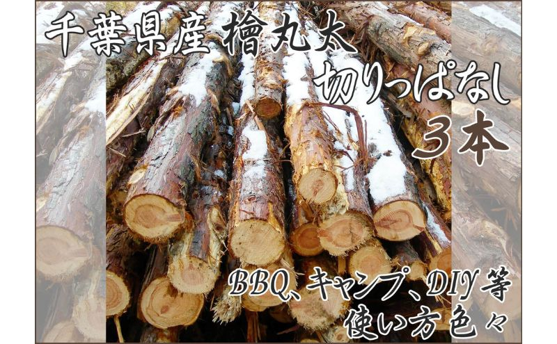 
千葉県産切りっぱなし檜丸太3本BBQ・キャンプ・スウェーデントーチ・DIYの素材として便利！ [№5346-0487]
