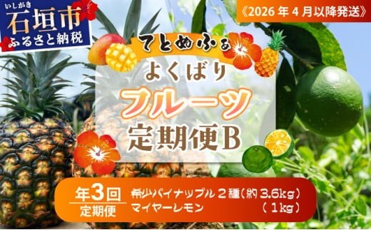 果物好きにおすすめ！希少なパイナップル2品種＆青切りマイヤーレモンの定期便　年3回に分けてお送りします 《2027年4月以降発送》TF-086-t03