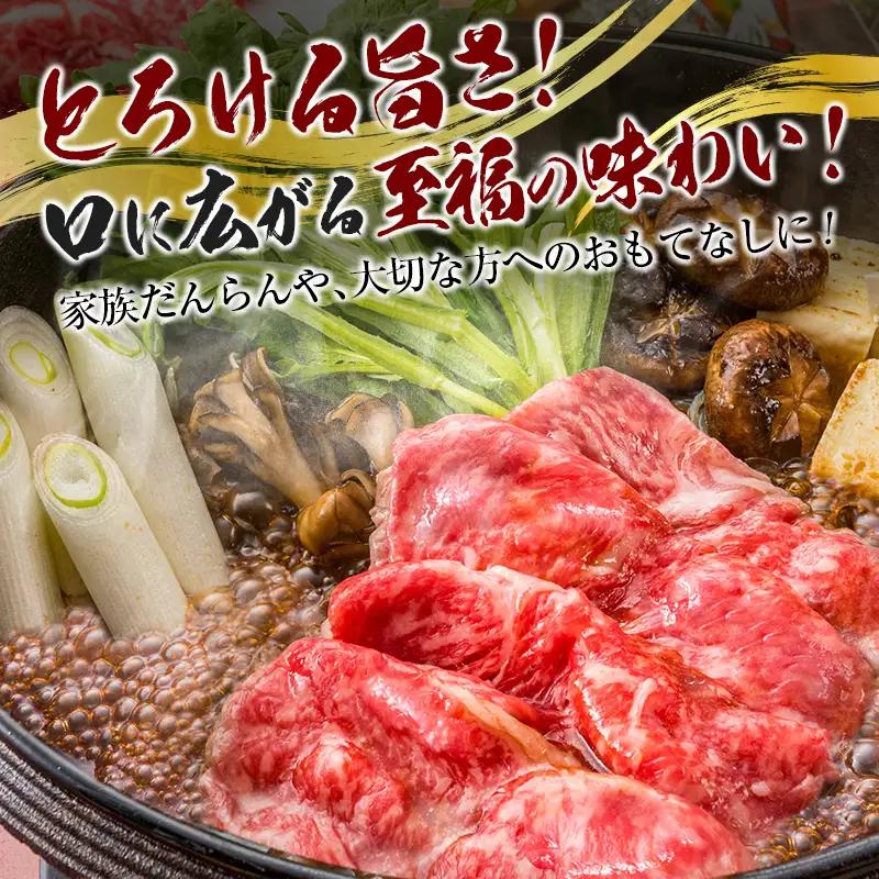 宮崎和牛『齋藤牛』赤身スライス 計500g【C362】