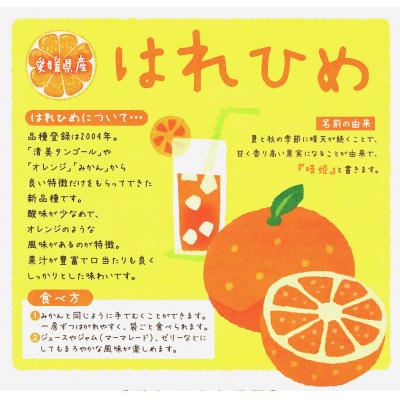 ふるさと納税 愛南町 先行受付【訳あり】 晴姫 はれひめ 3kg 5kg フルーツ 果物 みかん 柑橘 みかん職人武田屋 |  | 01