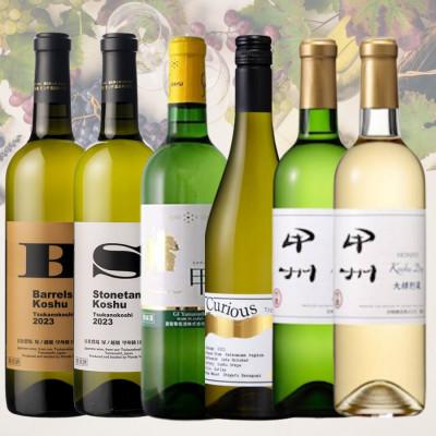 ふるさと納税 山梨県 大人気白ワイン6本セット(1)　028