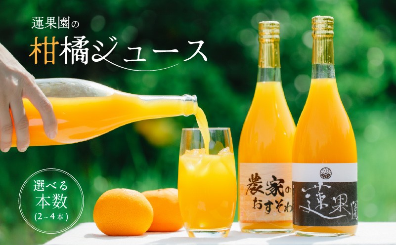 
                  100％ 柑橘 ジュース 柑橘ソムリエおすすめ 2～4本 贈答用 家庭用 | ストレートジュース 100％ジュース 柑橘ジュース みかんジュース 果物 くだもの みかんジュース フルーツ おすすめ  人気 お取り寄せ ジュース ギフト 愛媛県 松山市 蓮果園
                