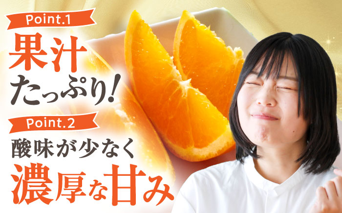 みかん 訳あり 愛果28号 サイズ不揃い 約3kg 約15玉【12月上旬から12月下旬まで順次発送】/ フルーツ 果物 蜜柑 ミカン オレンジ 訳あり 訳アリ 小玉 甘い 先行予約 3kg 愛媛 / 