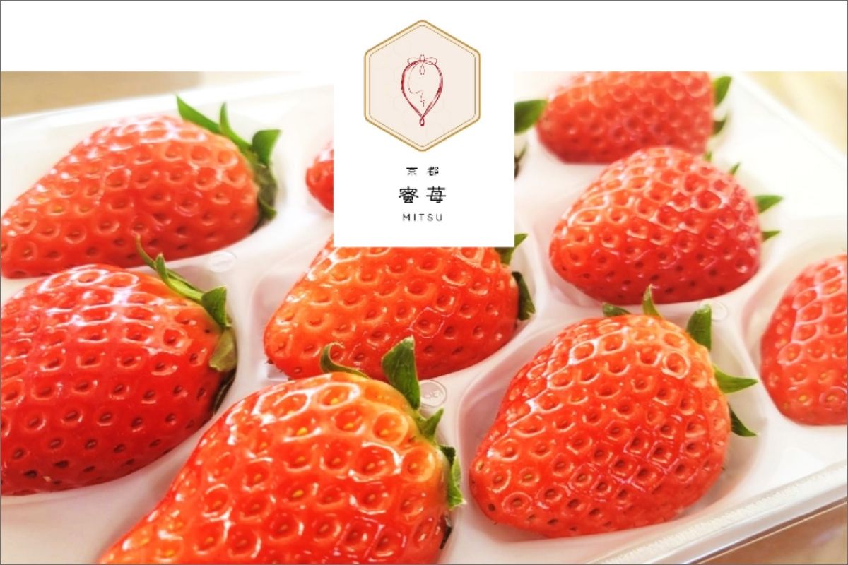 【先行予約】2026年産 京都 蜜いちご（あきひめ）（大サイズ（9粒または11粒）×2パック）約450g（2026年1月上旬～発送）　FM00011