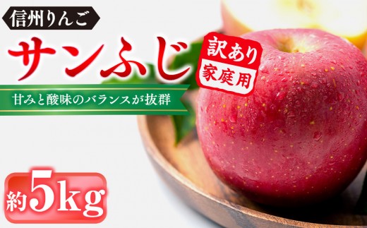 
                  信州りんご・サンふじ（家庭用）約5kg（12個～18個）
                