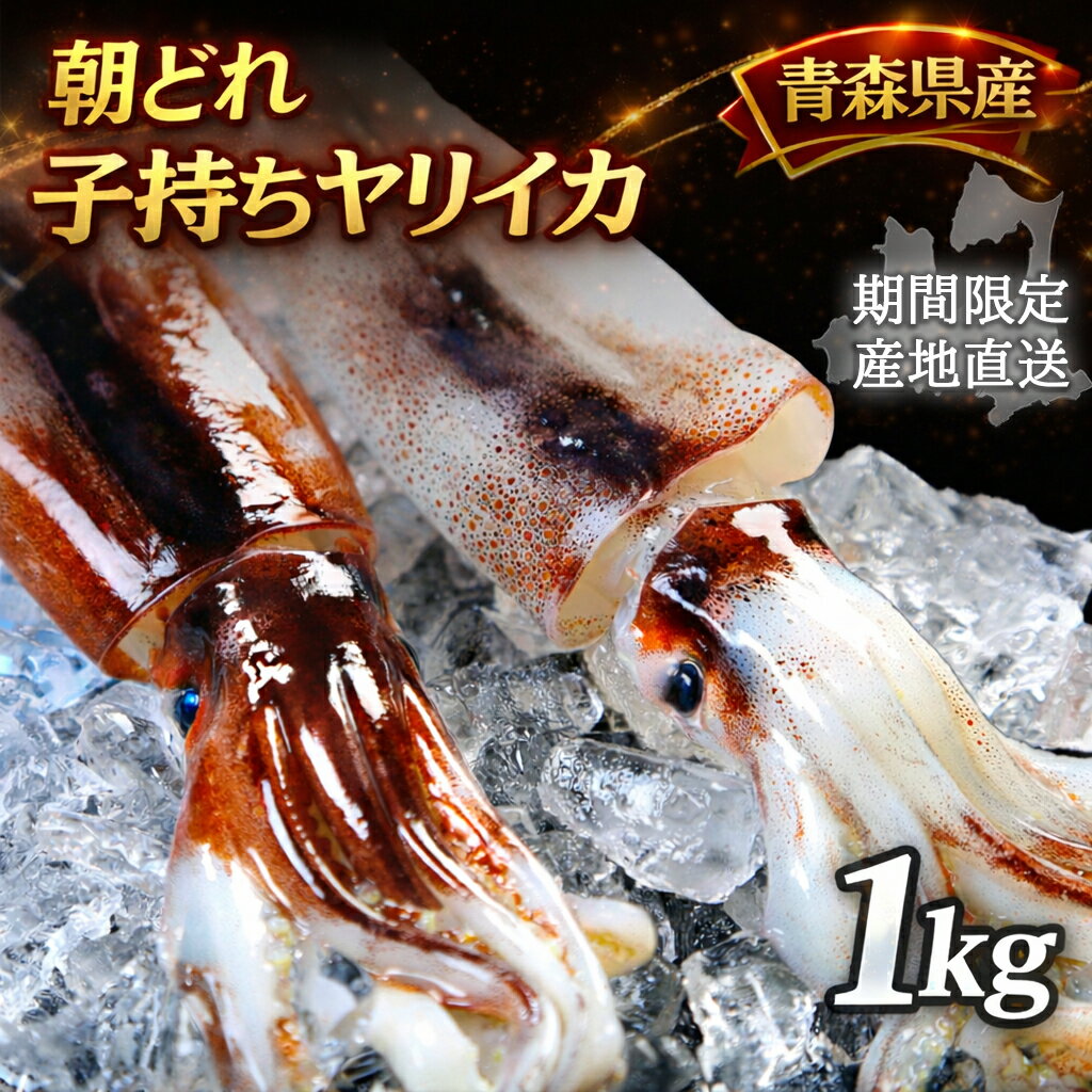 【ふるさと納税】産地直送!　津軽海峡　大畑港産　朝獲れ子持ちヤリイカ 1kg 青森県産 むつ市
