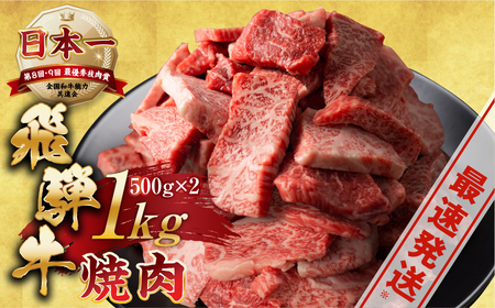 [A5等級] 飛騨牛【訳あり】飛騨牛 焼肉 切り落とし 500g × 2 計 1kg | 訳あり OR FN-SupportProject OR 増量 OR 年末企画 牛肉 肉 切落し 和牛 牛肉 肉 不揃い 小分け 冷凍 焼き肉 お肉 やきにく  訳あり OR FN-SupportProject OR 増量 OR 年末企画  訳あり OR FN-SupportProject OR 増量 OR 年末企画 