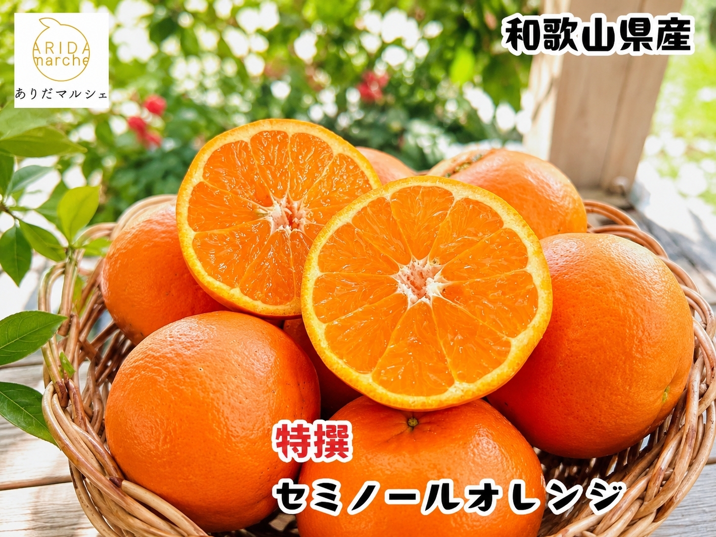 厳選 有田 育ちの爽快 セミノールオレンジ 5kg+200g(補償分) / みかん 高級 くだもの 晩柑 柑橘 和歌山 ※2027年4月上旬～5月下旬順次発送 ※北海道・沖縄・その他離島地域は発送不可【ard016-p-5D】
