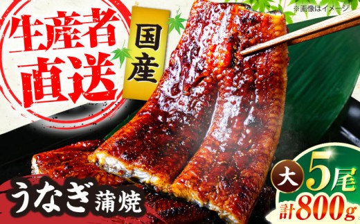 国産 うなぎ 蒲焼 大5尾 合計 800g（1尾あたり 160g以上）《豊前市》【福岡養鰻】 国産 うなぎ 鰻 ウナギ 蒲焼 うなぎ 蒲焼き うなぎ 冷凍 鰻 うなぎ ウナギ 鰻 人気 ウナギ うなぎ おすすめ ランキング うなぎ おいしい unagi うなぎ かばやき うなぎ 高級 贅沢 うなぎ ウナギ 鰻 ひつまぶし うなぎ ウナギ 鰻 九州 [VAD004]