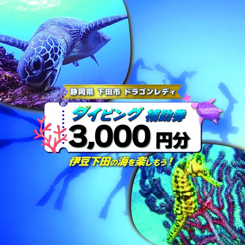 ダイビング 補助券 3,000円分 優待券 下田 体験 海 アウトドア スポーツ アクティビティ マリンスポーツ レジャー 旅行 観光 夏休み 白浜 ホテル伊豆急 内 ドラゴンレディ 静岡県 下田市 伊豆 PTS019-00013