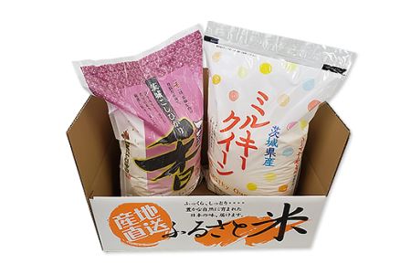 182茨城県産こしひかり香＆ミルキークイーン（各5kg）