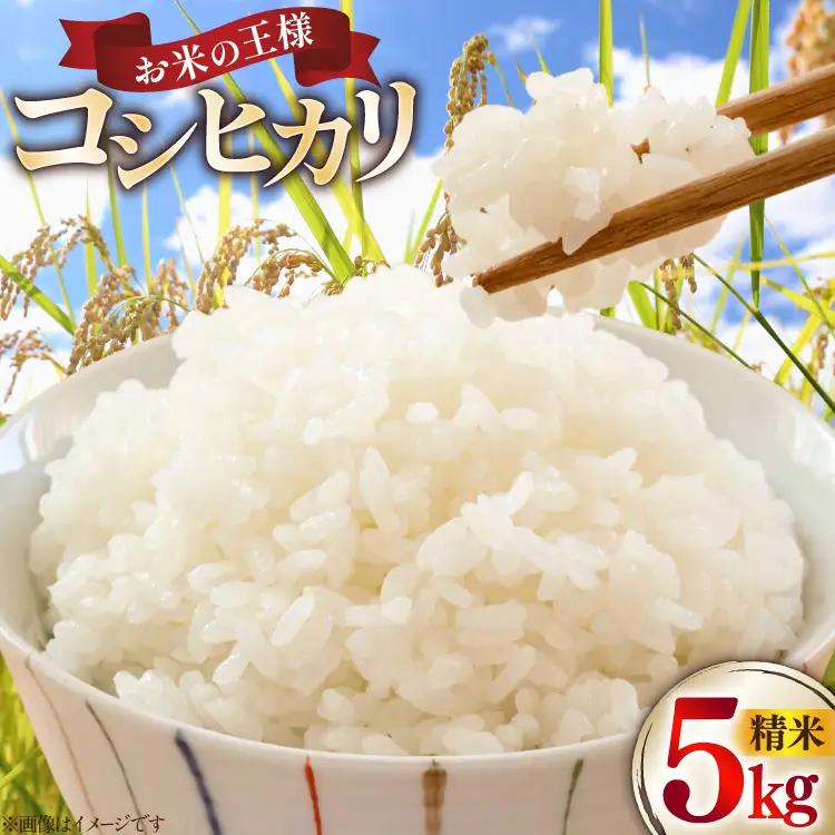 米 コシヒカリ 令和7年産 5kg [細川藤雄 石川県 志賀町 sk17bpe550001]