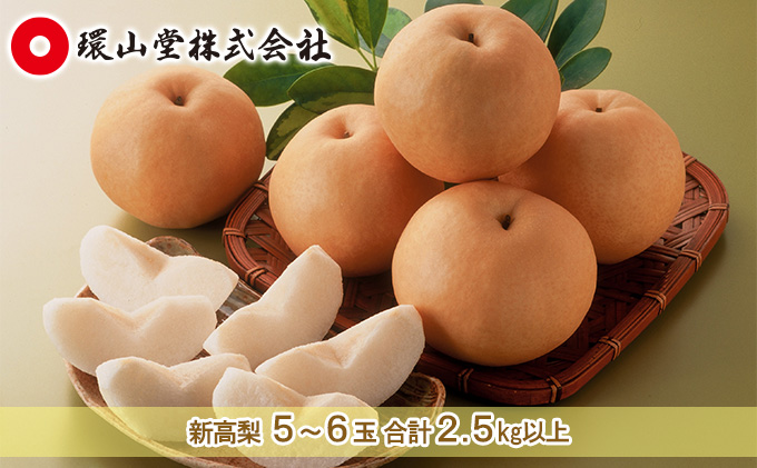 梨 2026年 先行予約 新高 梨 5～6玉 合計2.5kg以上 なし ナシ 岡山県産 国産 フルーツ 果物 ギフト 環山堂 大きさ 形 おいしさ 王様 みずみずしく 上品 風味 シャリシャリ 甘い 