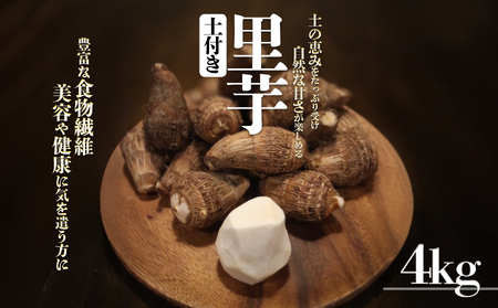 里芋(愛媛農試V2号) 4kg | 期間限定 さといも 里芋 サトイモ 国産 愛媛県産 ブランド えひめ 松山市 松山市ふるさと納税返礼品【MSD005】