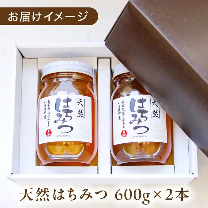 長崎県産天然はちみつ600g(2本セット) / 百花蜜 百花蜂蜜 蜂蜜 はちみつ ハチミツ / 諫早市 / 坂口養蜂 [AHDB001]