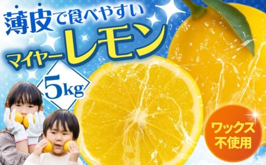 マイヤーレモン 5kg / イエロー ワックス不使用 国産 皮ごと レモン lemon れもん 檸檬 柑橘 フルーツ ふるーつ 果物 くだもの レモン / 諫早市 / 山野果樹園 [AHCF004]