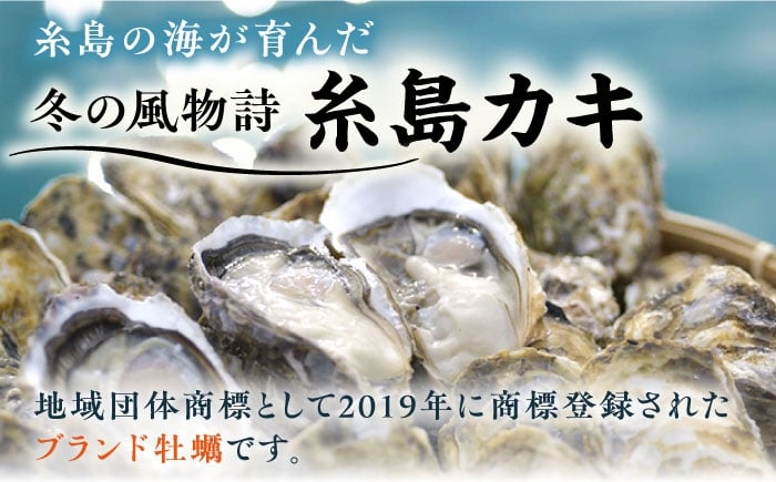 牡蠣 カキ 生ガキ 生牡蠣 福岡県産 糸島カキ 殻付き